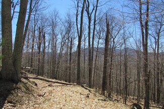 0 Moose Hill Way Unit 165290, Keene, NY 12942