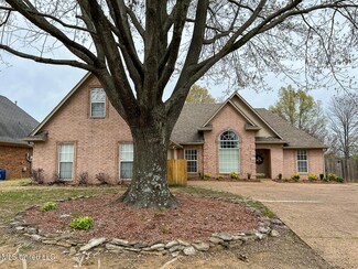 9192 Plantation Lakes Dr, Olive Branch, MS 38654