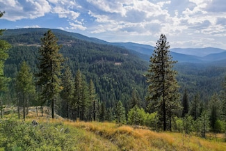 5X Jacknife Lookout Rd, Kettle Falls, WA 99141