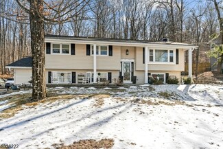 14 Colby Dr, Byram Township, NJ 07821
