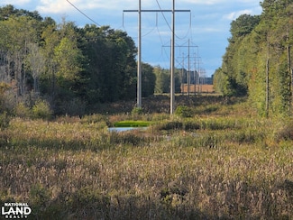 0 Cuthriell Rd, Samson, AL 36477