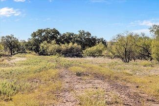 Berry Dairy Rd, Bryson, TX 76427