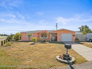 4114 Chesswood Dr, Holiday, FL 34691