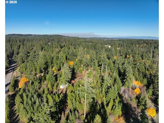 25 Remington Rd, Lyle, WA 98635