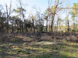1255 W Nankeen Dr, Pine Ridge, FL 34434