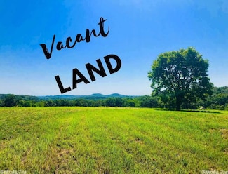 24915 Blue Gill Dr, Roland, AR 72135