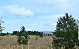 0 Dartford - 9141 Rd Unit SAR201922738, Spokane, WA 99208