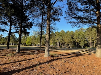104 Golden Bear Cir Unit 72, Cape Charles, VA 23310