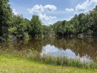309 Crosby Dr, Detroit, AL 35552