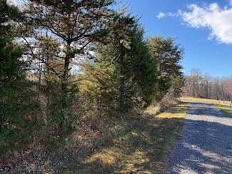 0 Tinder Ln, Unionville, VA 22567