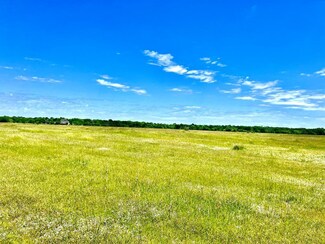 Lot 2 Farm To Market 47, Wills Point, TX 75169
