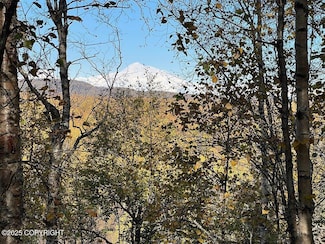 21439 E Quarah Lake Ave, Talkeetna, AK 99676