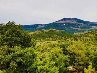 Parcel 9 Pinon Hill Rd, South Fork, CO 81154