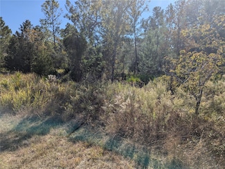 11228 Fool Duck Ave, Weeki Wachee, FL 34613