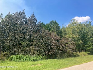 0 County Rd 217 Unit 2108149, Jacksonville, FL 32234