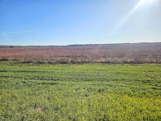 TBD Tbd, New Maine Township, MN 56738