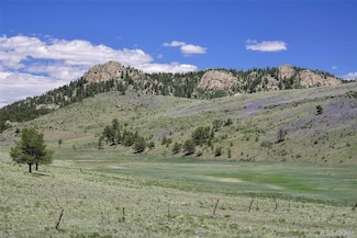 294 Wrights Ln Unit 4, Guffey, CO 80820