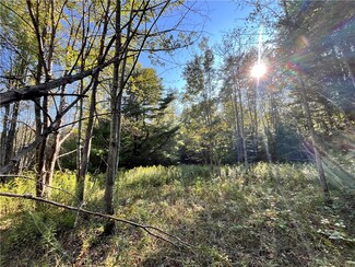 Lot 5 Porter Hill Rd E, Baldwin, NY 14859
