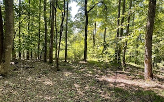 11B Grandview Dr, Hayesville, NC 28904