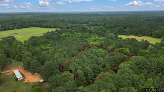 TBD Lot 2 (2 350 Acres), Ben Wheeler, TX 75754