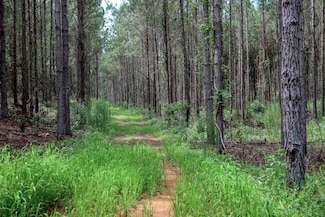 Moores Store Rd, Cusseta, GA 31805