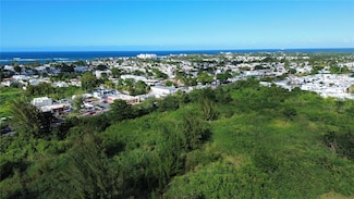 0 Bo Higuillar Carr 695 Km 3 2 Unit MFRPR9114368, Dorado, PR 00646