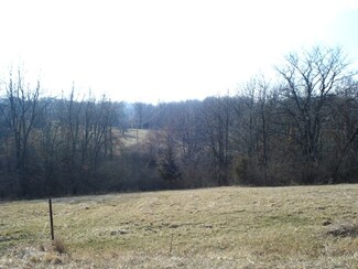Lot 1027 Plum Cir, Varna, IL 61375