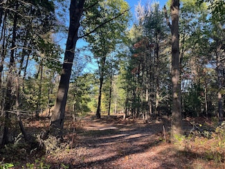 16553 Warner St, Grand Haven Township, MI 49417