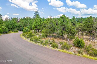 2793 Sky Hawk Dr, Overgaard, AZ 85933