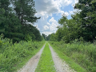 Lot 1 Cr-1350, Centertown, KY 42328