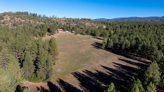567 Double d Rd, Bayfield, CO 81122
