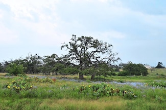 1101 Dreamcatcher Ln, Harper, TX 7850
