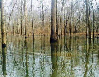 25-04-02 St Francis County Land, Forrest City, AR 72335