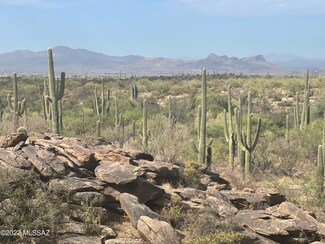 13661 N Hidden Rock Place Unit 248, Marana, AZ 85658