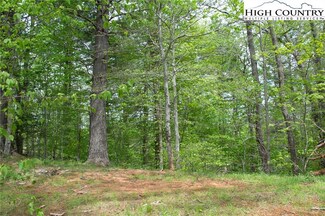 TBD Sharon Sweeney Ln, Crumpler, NC 28617