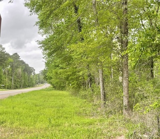 TBD Lake, Coldspring, TX 77331
