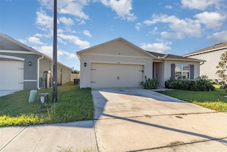 6664 Coral Berry Dr, Mount Dora, FL 32757