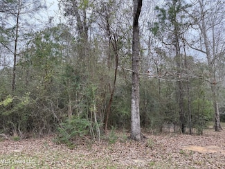 97159 Kapalama Dr, Bay St. Louis, MS 39525