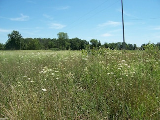 Lot D Calvin Rd, Riley Township, MI 48041