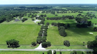 6500 NW 193rd St, Micanopy, FL 32667