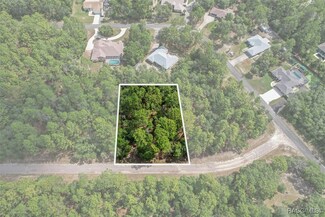 3621 W Norwick Place, Citrus Springs, FL 34433