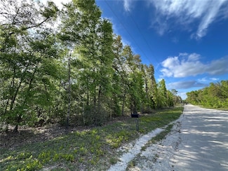 TBD NE 113th Ave & Ne 86th Ln, Bronson, FL 32621
