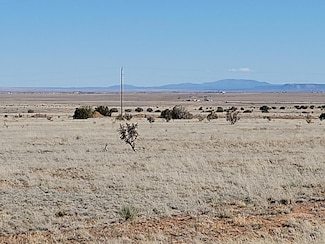 603 Marshall Rd, Estancia, NM 87016