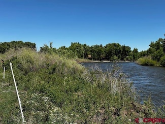 000 Address Tbd, South Fork, CO 81154