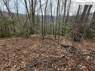 1138 Pine Ridge Rd, Beech Mountain, NC 28604