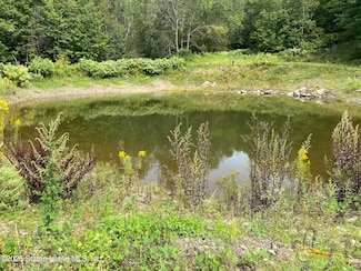 2340 Sands Creek Rd, Hancock, NY 13783