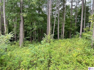 lot 13 Marina Point Ln, Falls of Rough, KY 40119