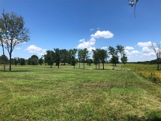TBD Vz County Road 3208, Wills Point, TX 75169