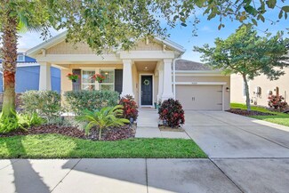 14309 Azalea Pond Ct, Lithia, FL 33547