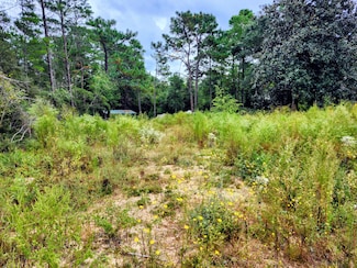 Lot 21 Cottage Hill Dr, Defuniak Springs, FL 32433